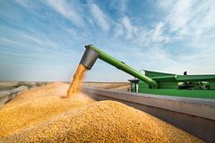 Семь стран создадут «зерновой» альянс против России