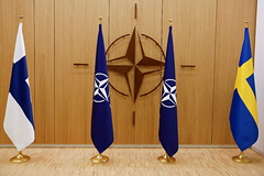 В США увидели угрозу безопасности Европы в случае расширения НАТО