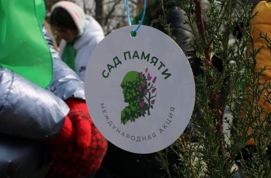 Во Владимире в рамках акции «Сад памяти» заложили березовую аллею героев