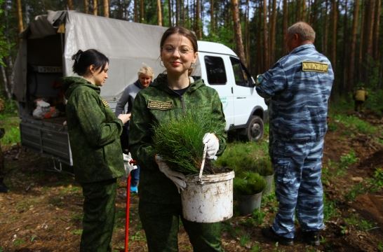 В Челябинской области в этом году в рамках акции «Сад памяти» планируется высадить 980 тысяч молодых деревьев